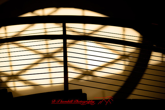 florida-images-2011-17
