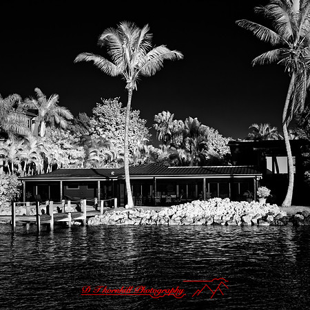 FL-March 2018-059_DxO