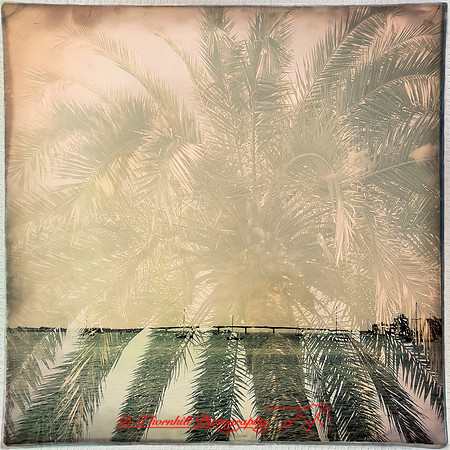 florida-march-2015-iphone-multi_exposure-018