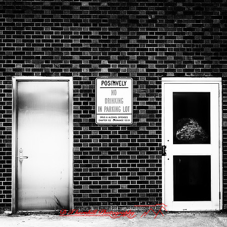 saginaw-images-2018-004-n-l-as