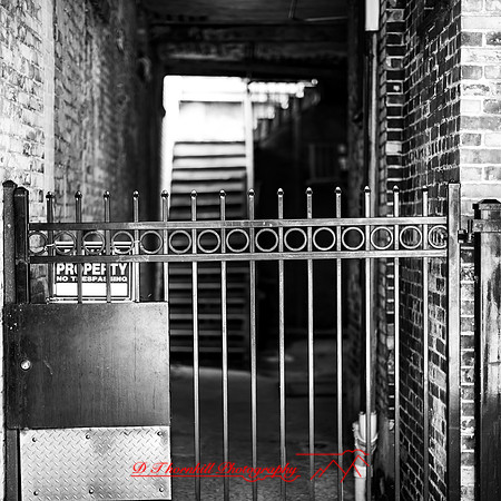 saginaw-images-2018-014