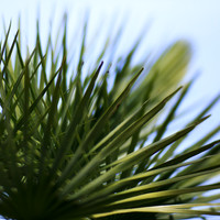 florida-2013-images-084