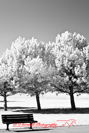 bay_city-infrared-2008_02