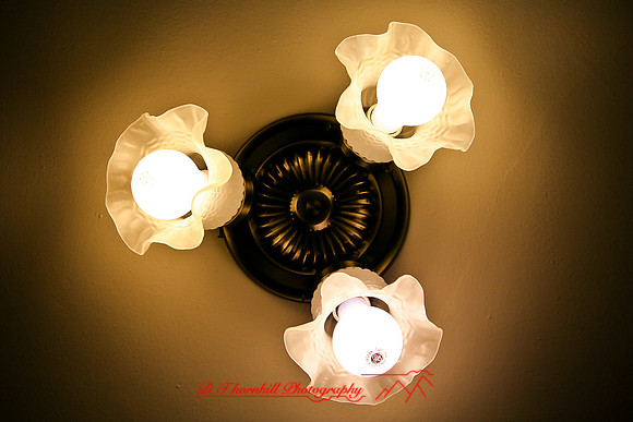 assorted_images-2008_31.jpg