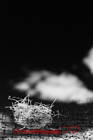 infrared-galesburg_il-2011-50