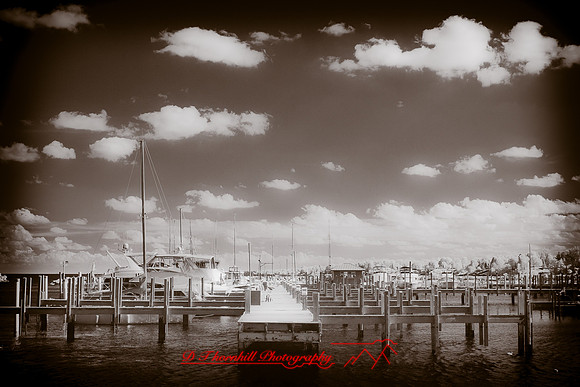 infrared-2010-random_024