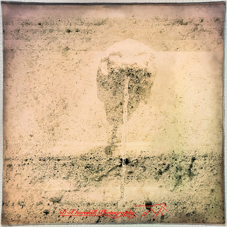 florida-march-2015-iphone-multi_exposure-014
