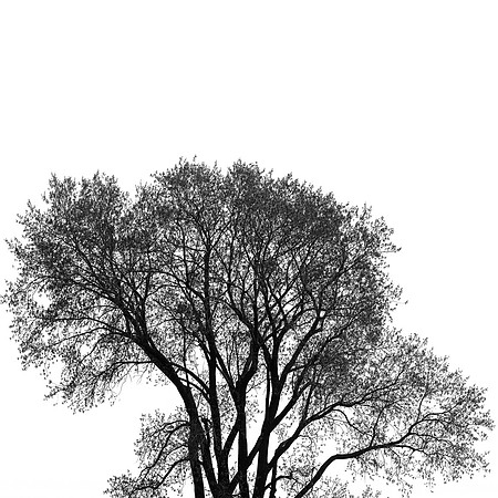 assorted-images_2017-001