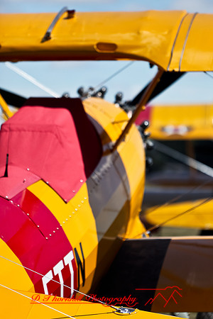 stearman-fly-in-2011-17