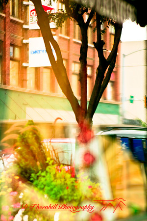 assorted_images-2007-43