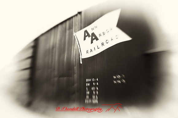 owosso_train-fest-2009_46-nik.jpg