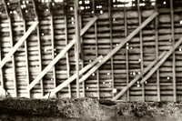 assorted_images-2011-66-nas