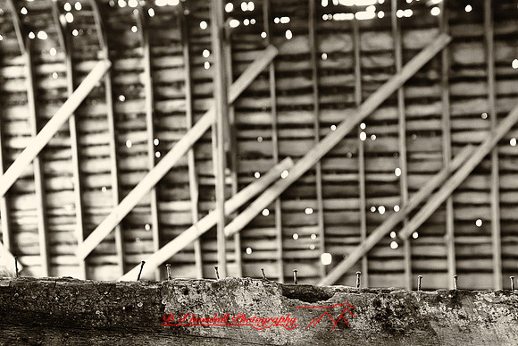 assorted_images-2011-66-nas
