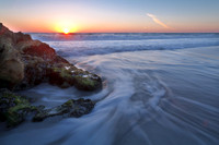 florida_images-2008_17.jpg