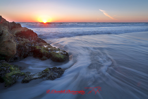 florida_images-2008_17.jpg