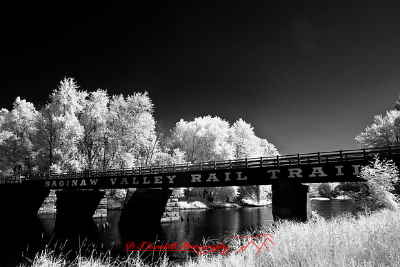 infrared-2008_117