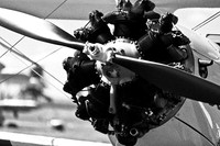 stearman-fly-in-2011-15-nas