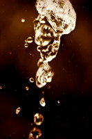 assorted_images-2011-156-nas