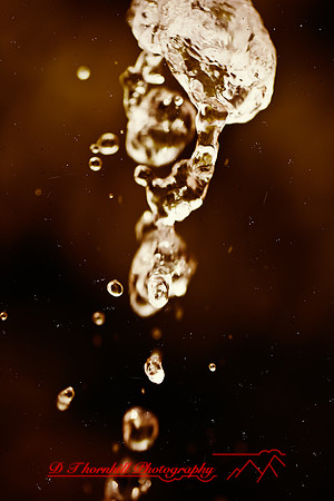 assorted_images-2011-156-nas