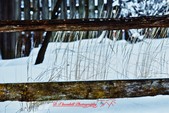 assorted_images-2012-035-nas_HDR