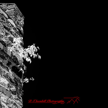 charlevoix - 2021 - 062