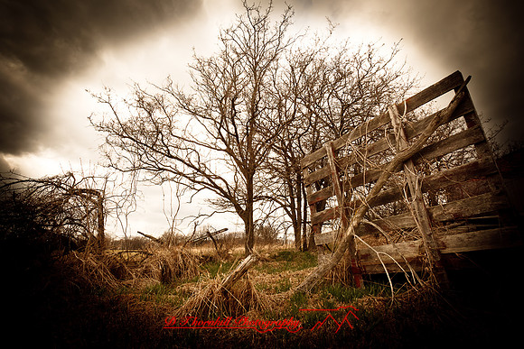 assorted_images-2011-37-nik