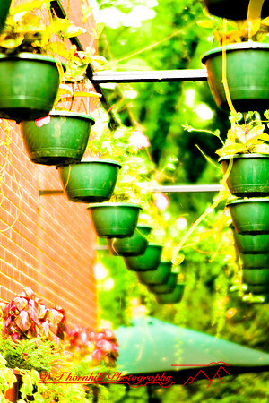 assorted_images-2007-49