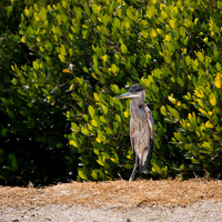florida-2013-images-090