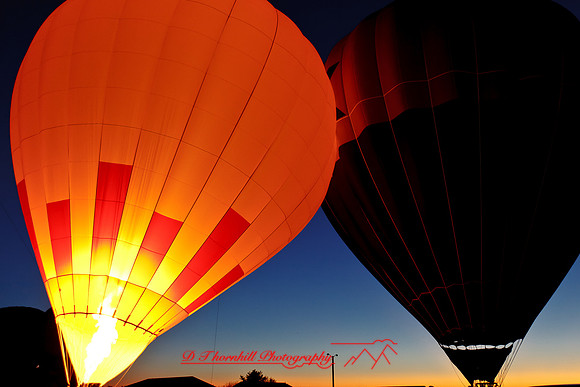 midland-balloon-2011-47