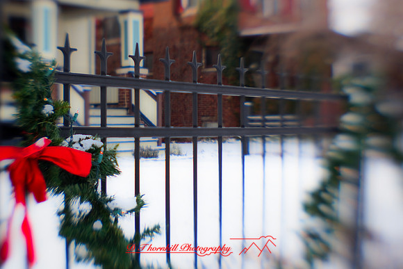 christmas-2009_04.jpg