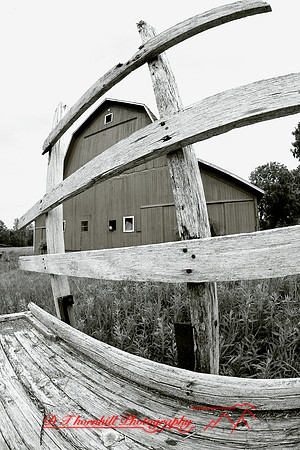 bird-farm_june-2006_52