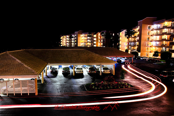 florida-2009-images_09.jpg