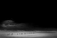 florida - 2022 - spring - 070