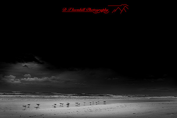 florida - 2022 - spring - 070