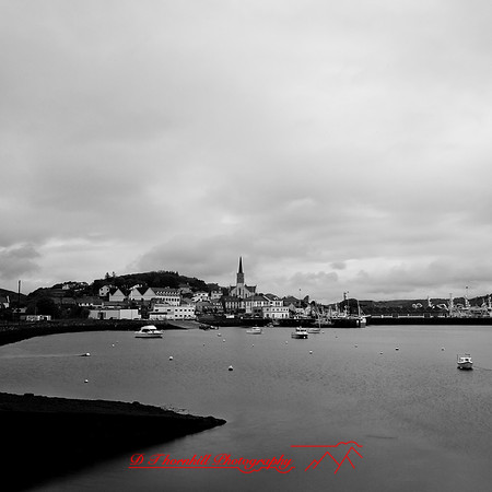 ireland-2013-116