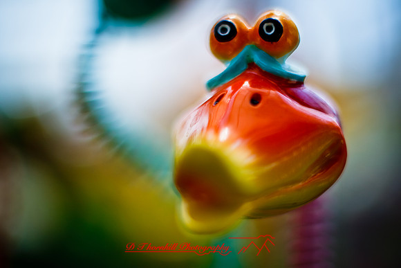 assorted-images-2010_066