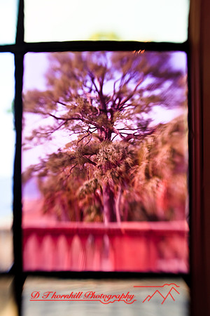 florida-2009-images_25.jpg