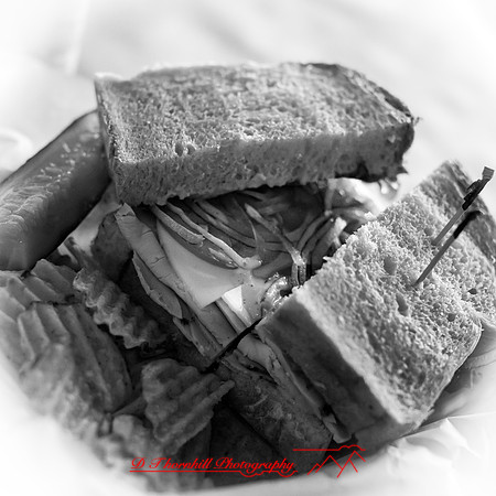 food photos 2019-007 bw