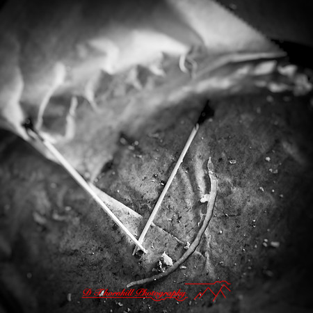 food photos 2019-009-n-l-as bw