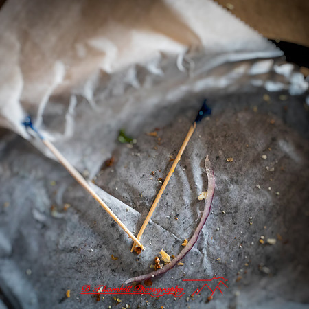 food photos 2019-009-n-l-as color