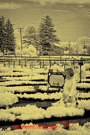 infrared-2009-people_01-nik.jpg