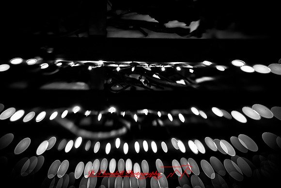 assorted_images-2011-120