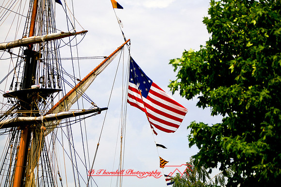 tall-ships_2006_010