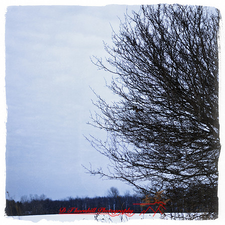 assorted_images-2012-151-nas