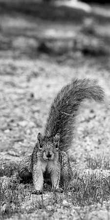 bay city-2018-random-015_DxO