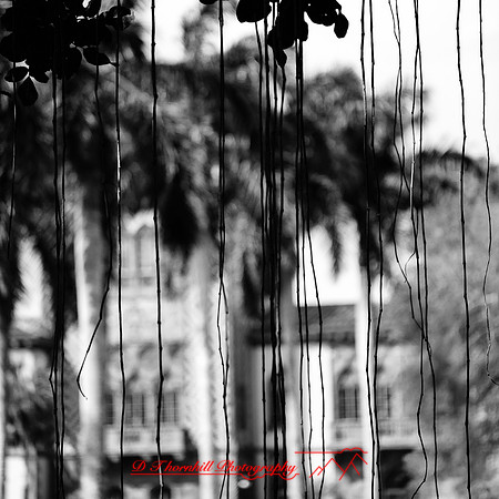 florida-march-2016-066