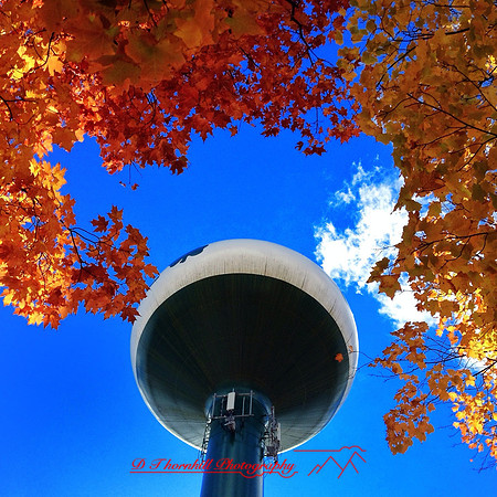 IMG_0059