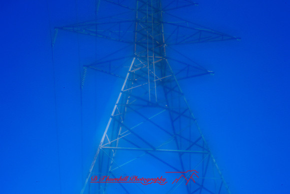 assorted-images-2010_001