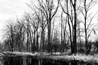 shiawassee-april_infrared-2010_01-nik
