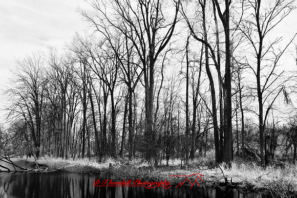 shiawassee-april_infrared-2010_01-nik